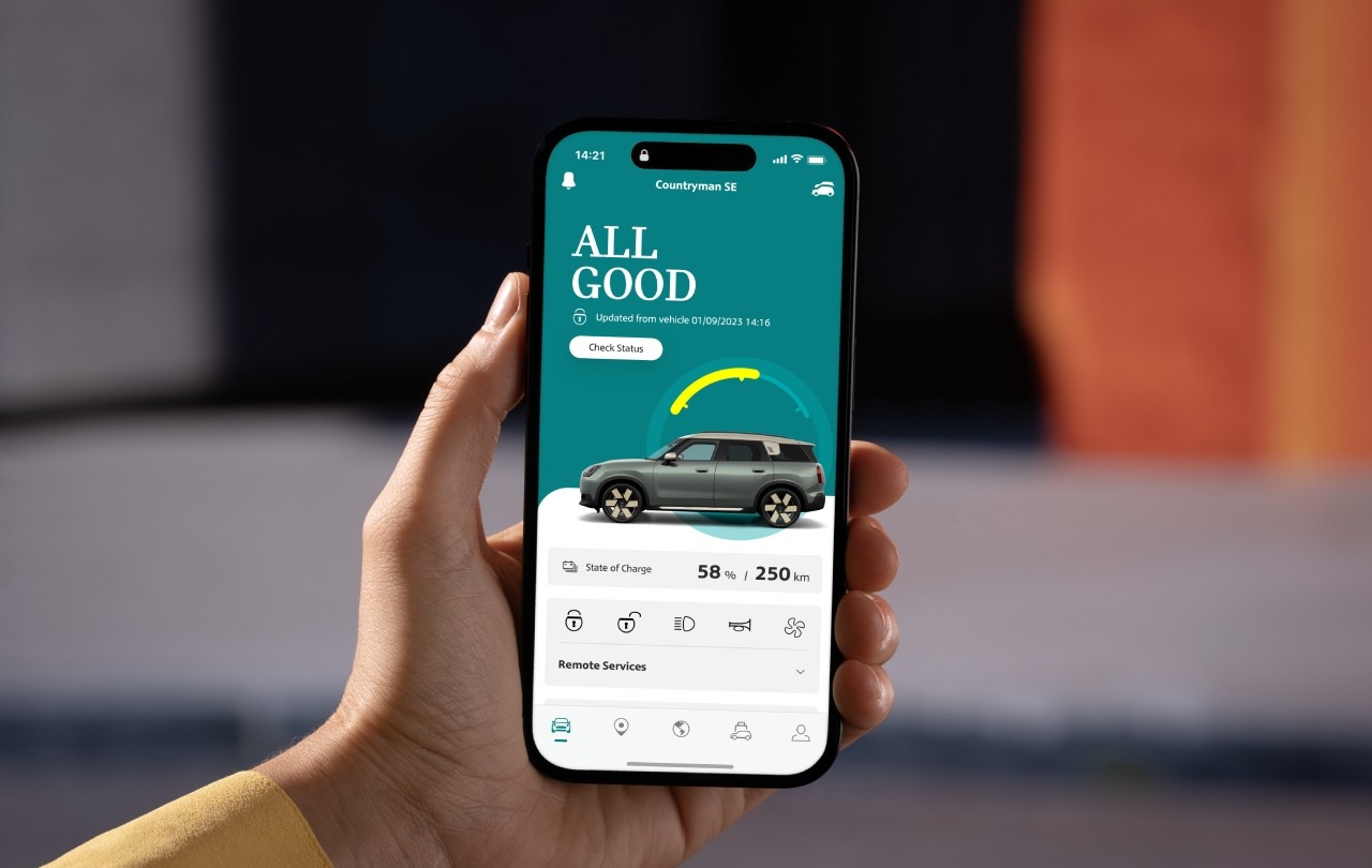 Servicios remotos MINI gratis